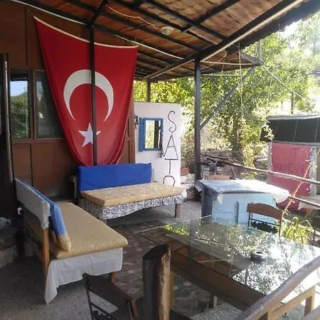 Sato Koeyevi-selendi *