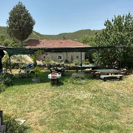 Sato Koeyevi-selendi Selendi