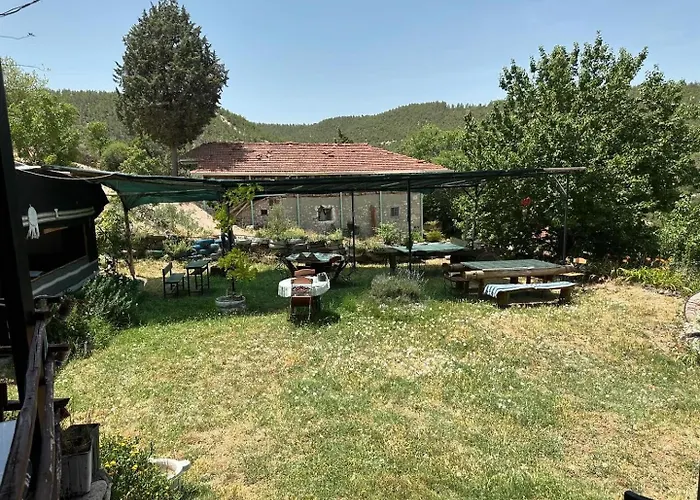 Sato Koeyevi-selendi Selendi