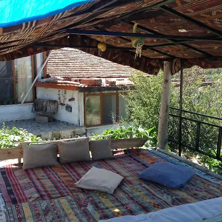 Sato Koeyevi-selendi Selendi