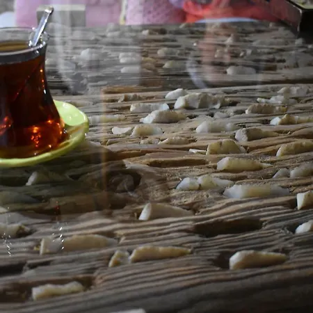 Sato Koeyevi-selendi Hotel
