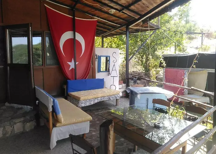 Sato Koeyevi-selendi *