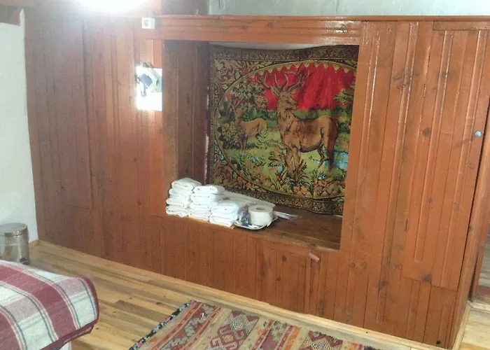 Sato Koeyevi-selendi Selendi